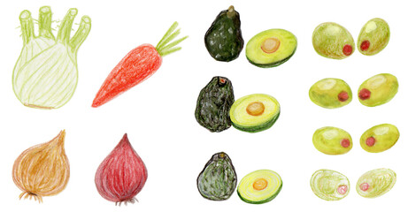 食べ物, 野菜, フルーツ, ひとそろい, コレクション, タマネギ, 新鮮, オレンジ, 白, 健康な, ニンジン, ベジタリアン, ダイエット, フェンネル, アボカド, オリーブ, 色鉛筆, 水彩