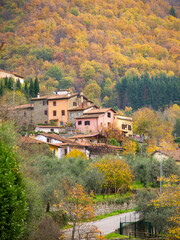Italia, Toscana, Reggello, Firenze. il bosco in autunno.