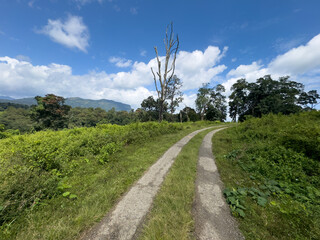 Winding dirt road through green grasslands with mountains in the distance at Topslip, Anamalai Tiger Reserve, Coimbatore district, Tamil Nadu, under blue skies.