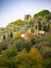 Italia, Toscana, Reggello, Firenze. il bosco in autunno.