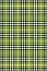 Tartan seamless pattern diagonal stripes classic.Plaid Scottish lattice cross line warm color.Geometric checkered warp weft traditional vector illustration. For fabric,clothes,skirts,blanket,decorate.