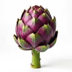 Fototapeta premium Fresh purple globe artichoke isolated on white background. Closeup of raw organic vegetable. Ripe edible flower bud healthy gourmet ingredient for cooking. Healthy vegetarian food for diet detox rich