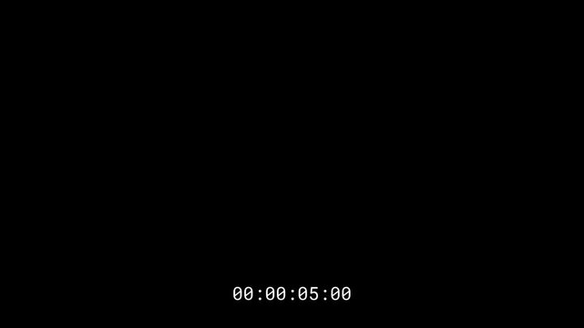 30 second timer animation with hour minute second frame display on black background