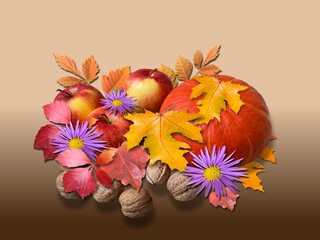 Autumn arrangement of pumpkin, flowers, leaves and nuts
