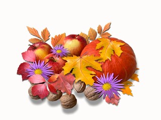 Autumn arrangement of pumpkin, flowers, leaves and nuts