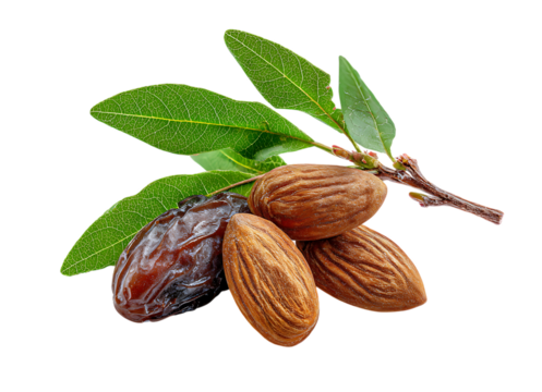Sizzy almond with leaves and dried dates isolated on a white background, close-up photography.