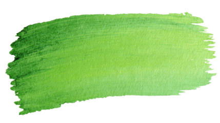 Green watercolor paint stroke leaving a brush texture on a transparent background, offering an abstract gradient design element and vibrant artistic backdrop