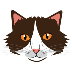 Close up portrait of a brown and white cat face with bright orange eyes pink nose and whiskers against a pure white background creating a clean and simple graphic illustration