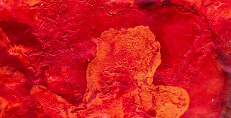 A Mesmerizing Dive into the World of Liquid Art