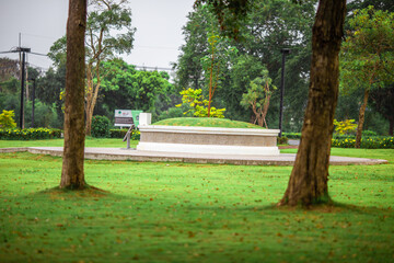 natural background of many species of plants that are laid out in the park, for the propagation of the species and to provide shade for those who stop by while traveling to study the ecology.