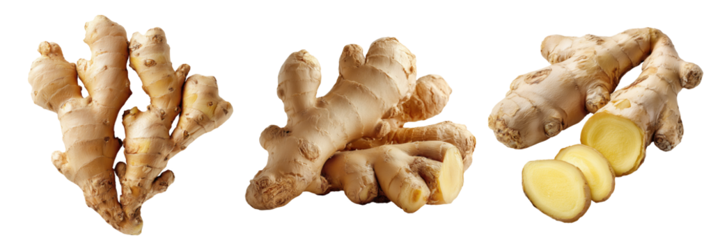 Set of herbs, fresh ginger root, Isolated on a transparent background.