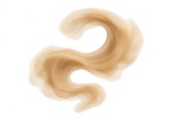 Abstract dust cloud or sandstorm vortex with particles flying in strong wind on a transparent background