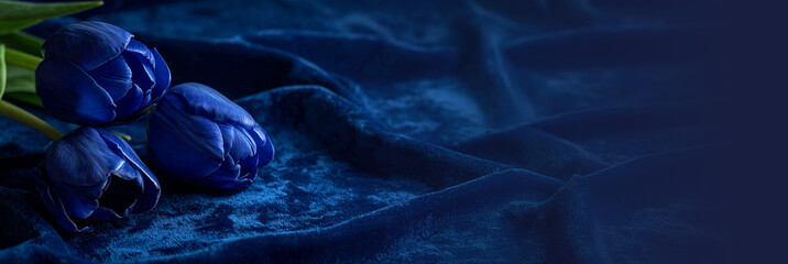 Fototapeta premium Baner kwiaty