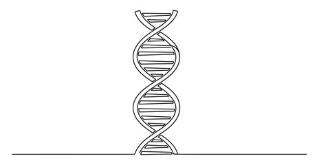 DNA Double Helix Line Art, Isolated on Transparent Background, Science Strand