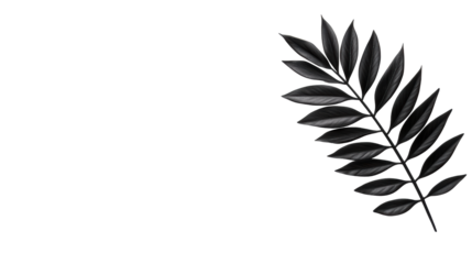 Black Leaf on Transparent Background