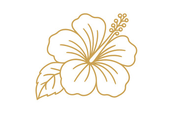 Elegant golden line art of tropical hibiscus flower and leaf outline