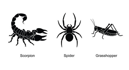 Black silhouettes of a scorpion spider and grasshopper displayed side by side
