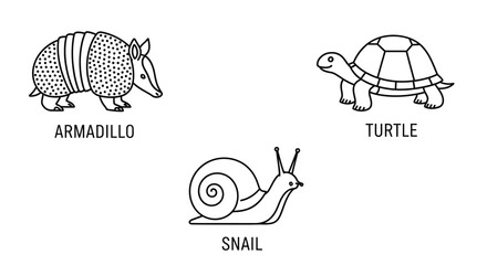 Simple black and white illustration of an armadillo turtle and snail