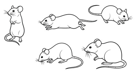 Line art illustration depicting three mice in various playful poses