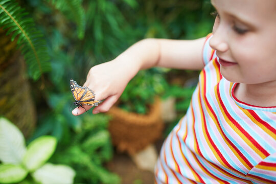 Curious young girl watching a butterfly up close in a tropical butterfly park - Powered by Adobe