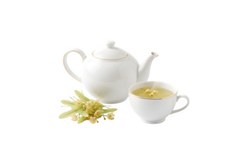 herbal linden tea served in a white porcelain cup and teapot against a white backdrop
