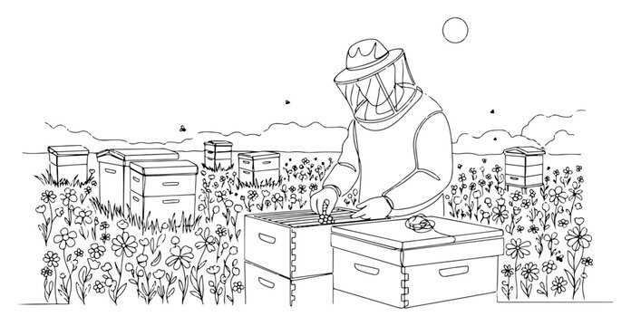 Beekeeper working at an apiary with beehives in a flower meadow continuous one line drawing Vector illustration of honey production and organic farming
