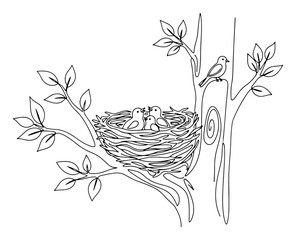 Bird family in a nest on a tree branch Continuous one line drawing Baby chicks with their mother minimalist vector illustration