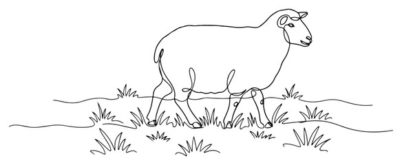 Sheep walking on grass one continuous line drawing. Farm animal minimalist vector illustration.