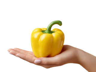 Person presenting single yellow bell pepper in open palm hand