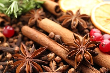 Different spices, fresh rosemary, cranberries and dry orange slices for mulled wine, closeup