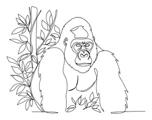 Silverback gorilla with bamboo continuous one line drawing Vector illustration of a powerful primate animal for zoo or wildlife conservation concept