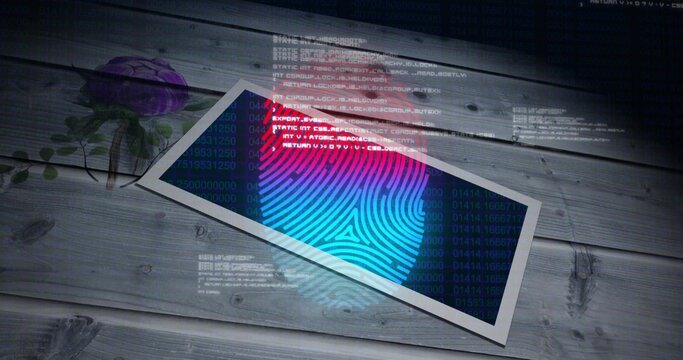 Fototapeta Displaying white print diagonal on wooden planks, showing blue-pink fingerprint, code, purple rose