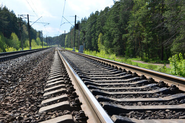Parallel Railway Tracks Through a Green spruce Forest