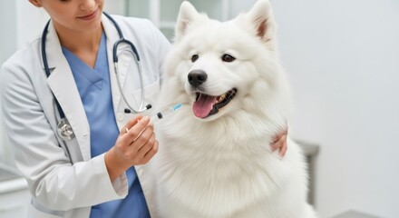 Woman vet vaccinating a white dog, giving an injection to pet in clinic. Veterinary medicine concept for animal health and care.