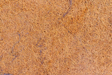 Coconut patterned latex mattress, seamless intertwined fibers