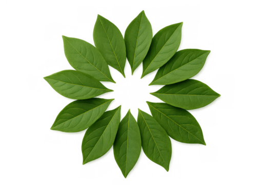 Green leaves forming a circular pattern, symbolizing nature, growth, freshness, and environmental concepts, transparent background - Powered by Adobe