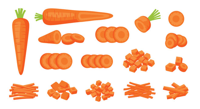Assorted carrot preparations in a colorful flat lay arrangement, showcasing whole, sliced, diced, and julienned forms for culinary use.