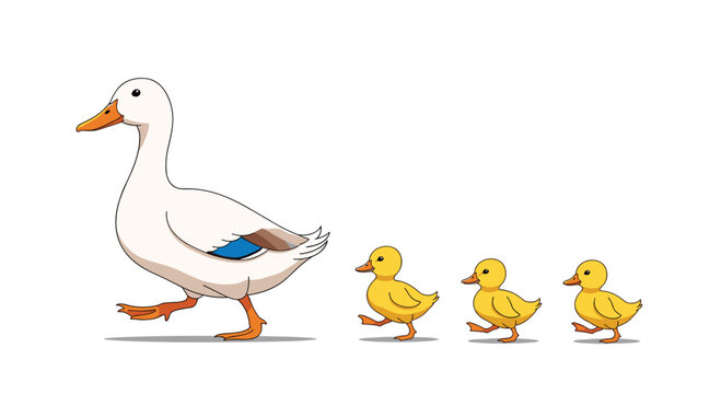 A white duck leads three fluffy yellow ducklings in a single-file line, showcasing a heartwarming family scene and natural animal behavior.
