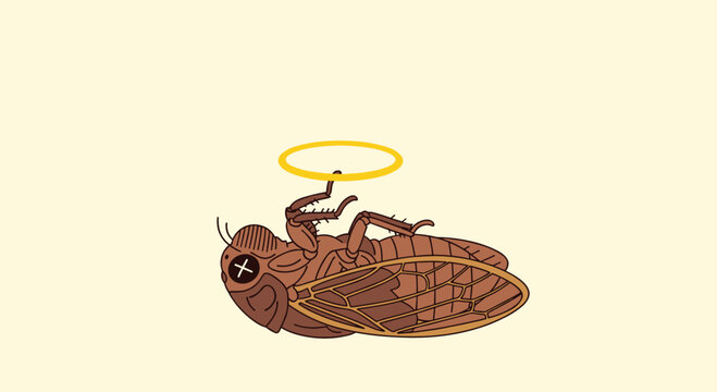 A whimsical illustration depicts a deceased cicada with a halo above its head, suggesting a humorous take on insect mortality and afterlife concepts.