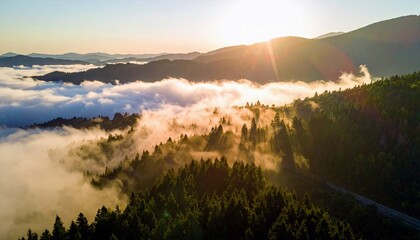 A breathtaking aerial view of a dense forest on a mountainside bathed in the warm glow of sunrise, with thick fog and clouds swirling below.