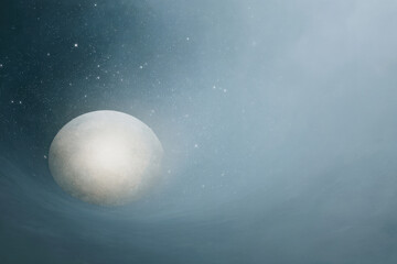 experience magical environment with ceilings that project realtime night sky creating captivating atmosphere