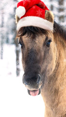 A cheerful horse dressed in a Christmas hat stands in a snowy scene, celebrating the joy of the New Year 2026. The trees in the background add to the winter vibe