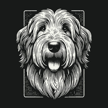 Detailed Engraved Illustration of a Happy Shaggy Dog Portrait.