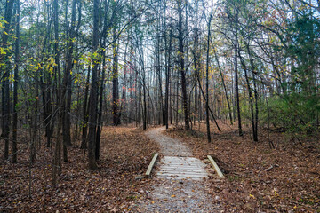 Footbridge on a Hiking Trail in Autumn