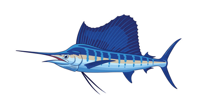Illustration of a blue marlin fish with a large dorsal fin and bill swimming to the left.