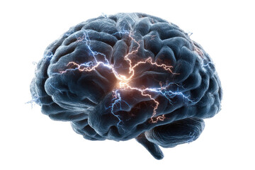 Mind's Electrical Spark: A detailed illustration captures the intricate structure of the human brain, interwoven with glowing electrical patterns that symbolize the active functions within.