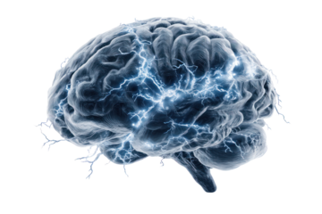 Brainstorm: A mesmerizing depiction of the human brain illuminated with electric currents, embodying the powerful essence of thought, creativity, and the enigmatic depths of the mind.