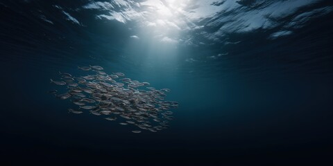 Naklejka premium Underwater view of fish school in ocean sunlight