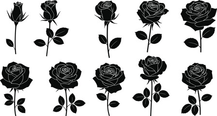 PrintElegant collection of rose silhouettes featuring blooming flowers and buds, detailed botanical artwork for design projects, patterns, invitations, decorative creative uses