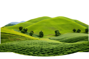 Rolling green hills with agricultural fields and scattered trees on a transparent background isolated on a transparent background